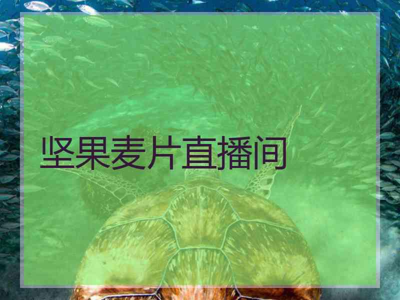 坚果麦片直播间