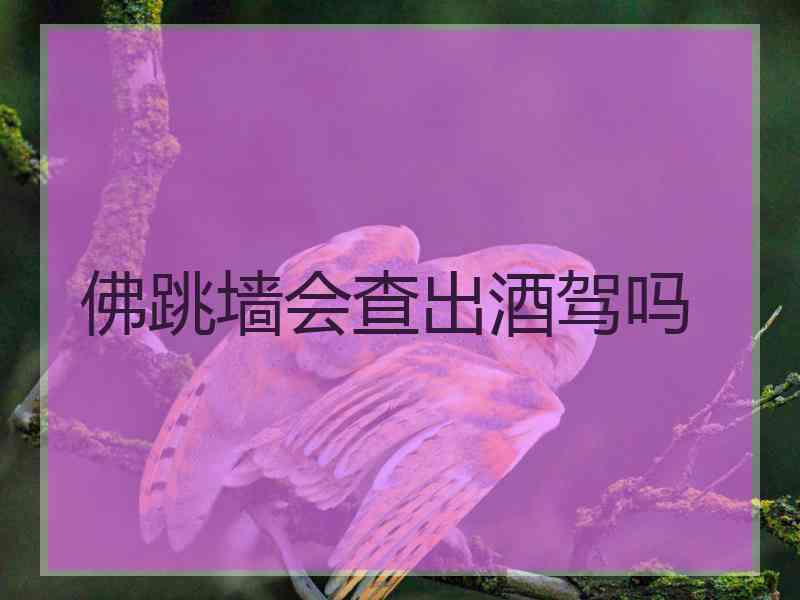 佛跳墙会查出酒驾吗