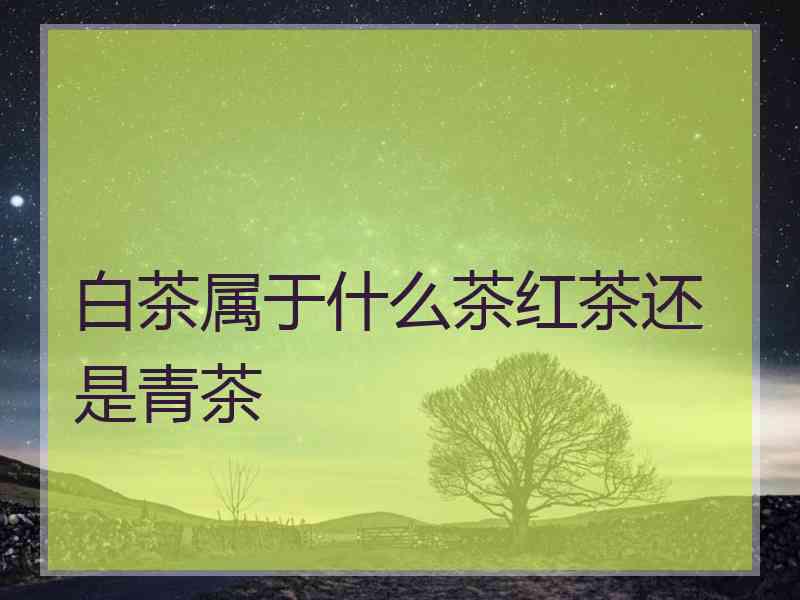 白茶属于什么茶红茶还是青茶