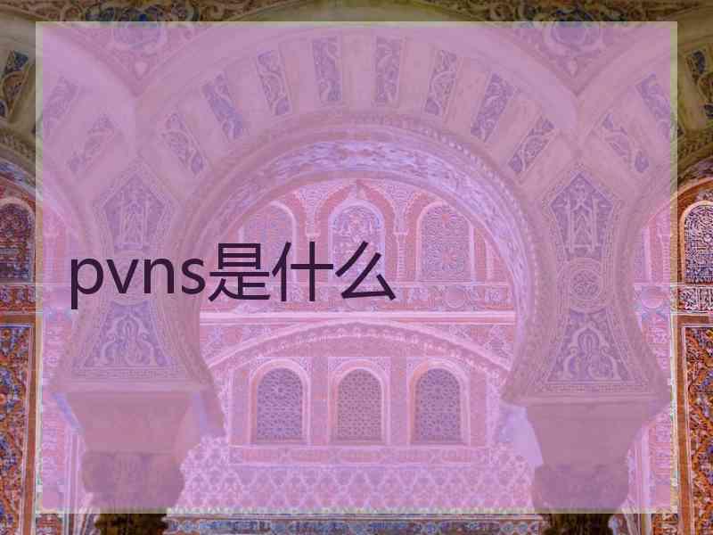 pvns是什么