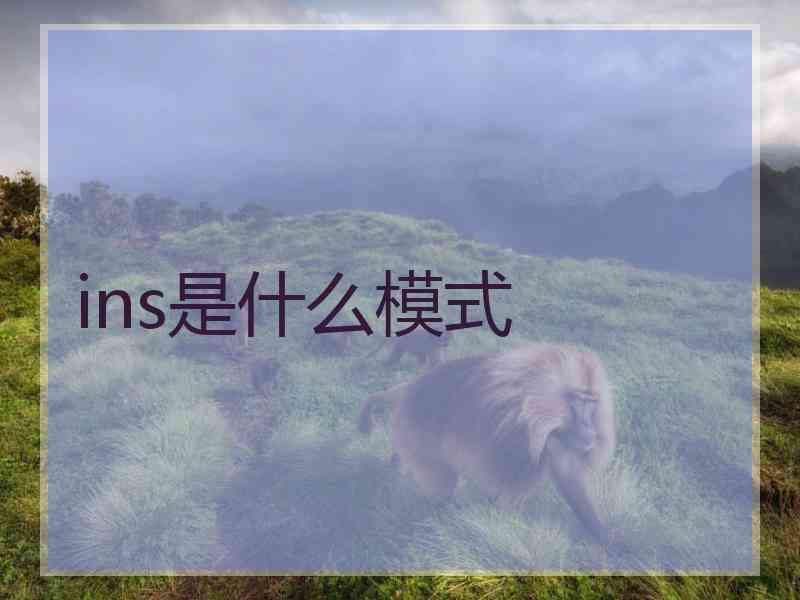 ins是什么模式