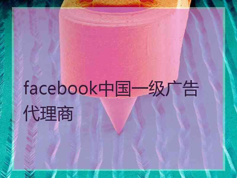 facebook中国一级广告代理商