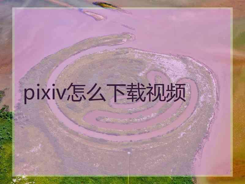 pixiv怎么下载视频