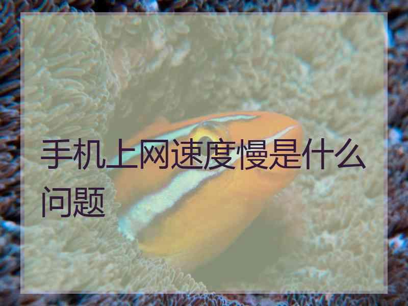 手机上网速度慢是什么问题
