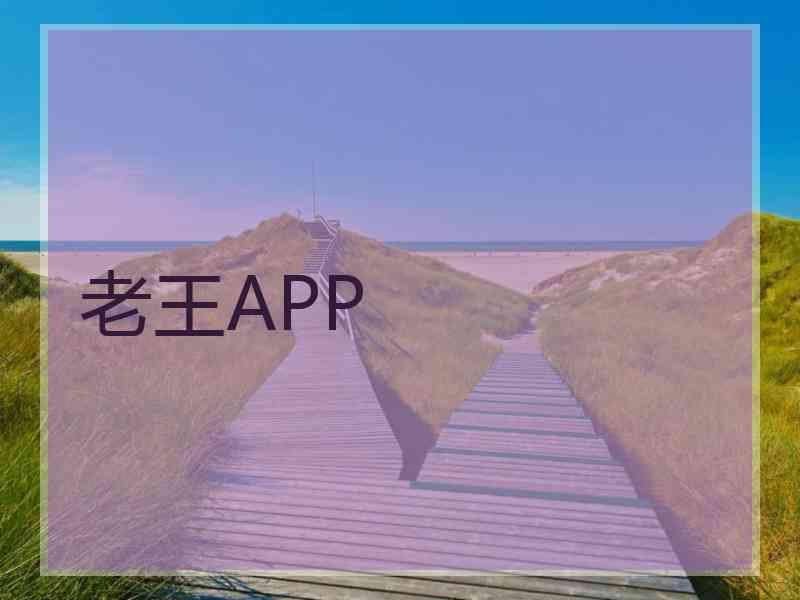 老王APP
