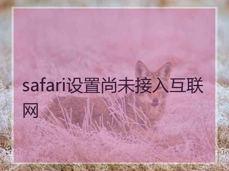 safari设置尚未接入互联网