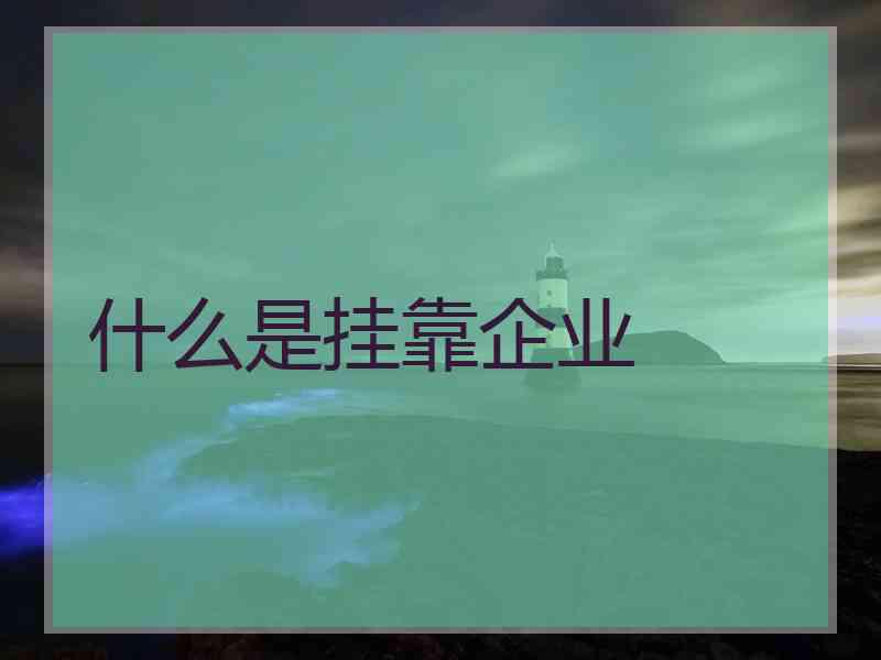 什么是挂靠企业