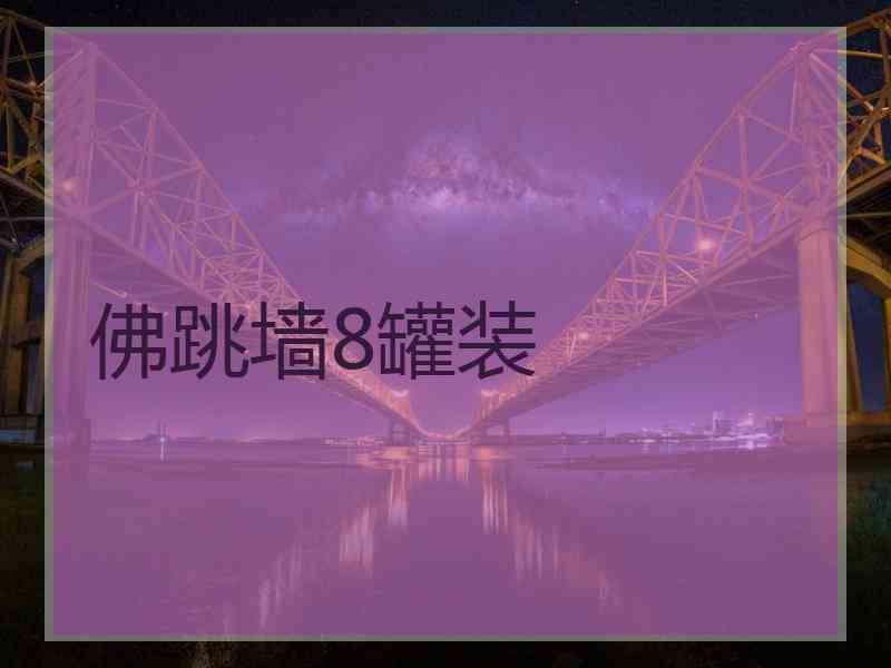 佛跳墙8罐装