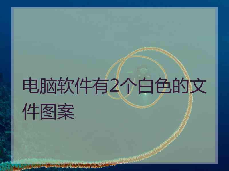 电脑软件有2个白色的文件图案