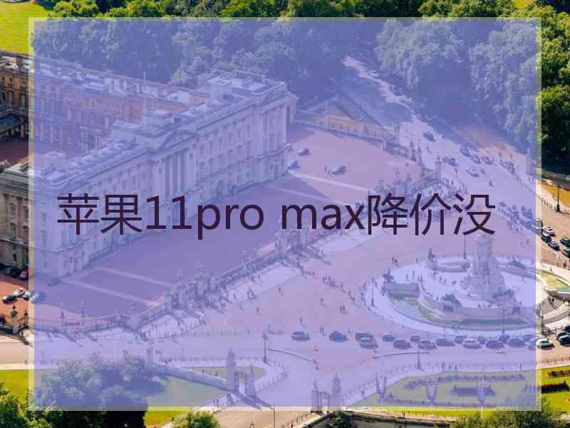 苹果11pro max降价没