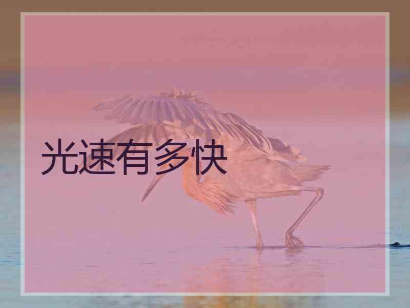 光速有多快