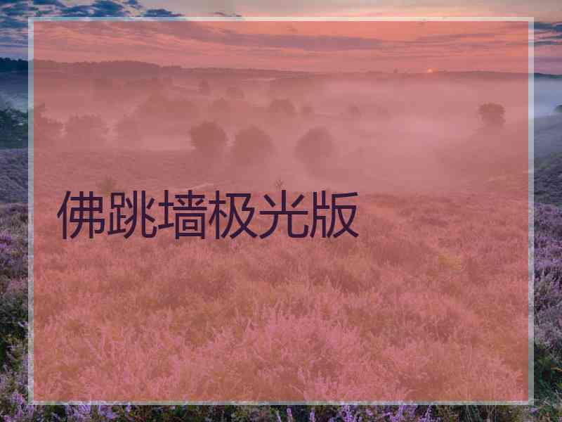 佛跳墙极光版