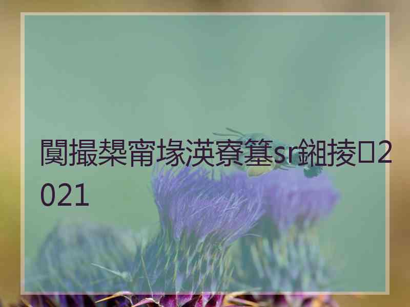 闃撮槼甯堟渶寮簊sr鎺掕2021