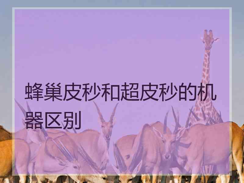 蜂巢皮秒和超皮秒的机器区别