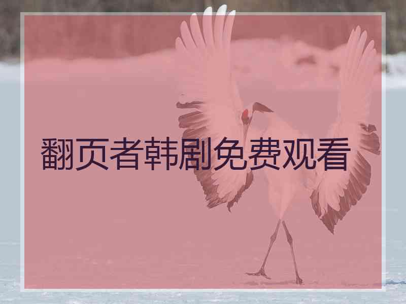翻页者韩剧免费观看