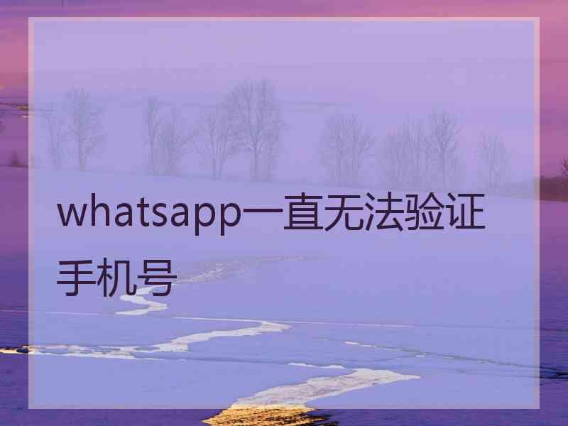 whatsapp一直无法验证手机号