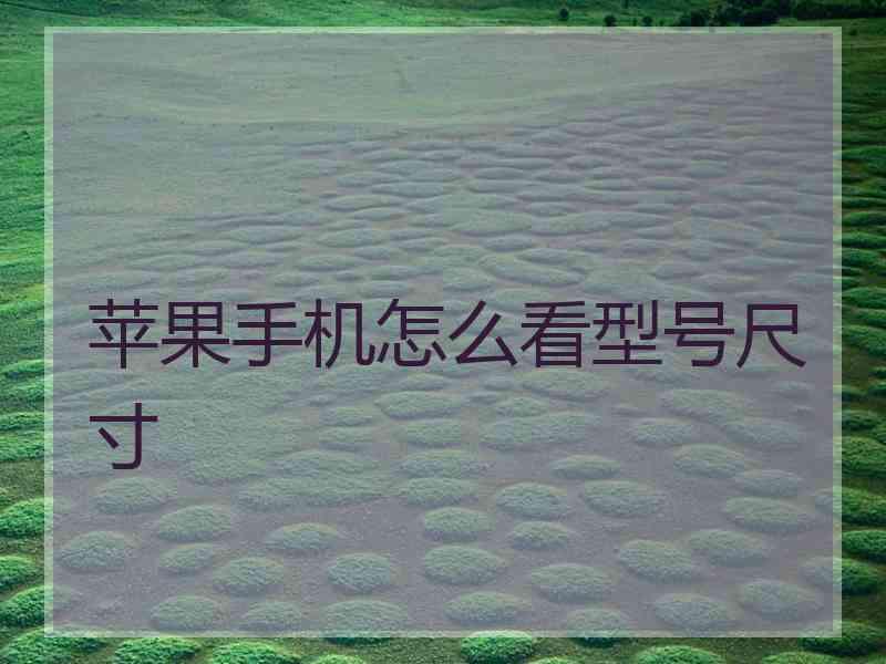 苹果手机怎么看型号尺寸