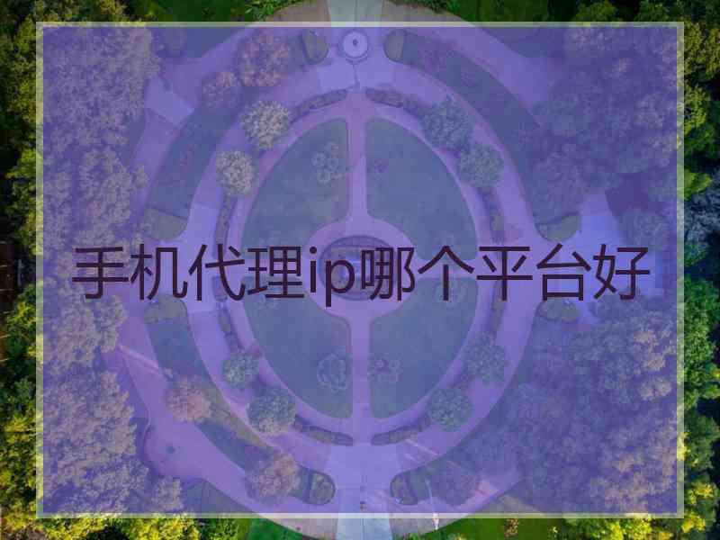 手机代理ip哪个平台好