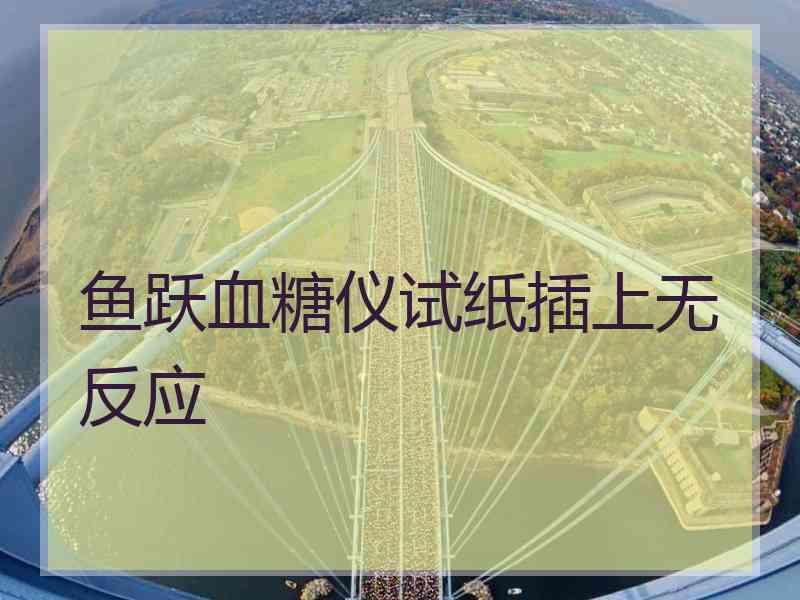 鱼跃血糖仪试纸插上无反应