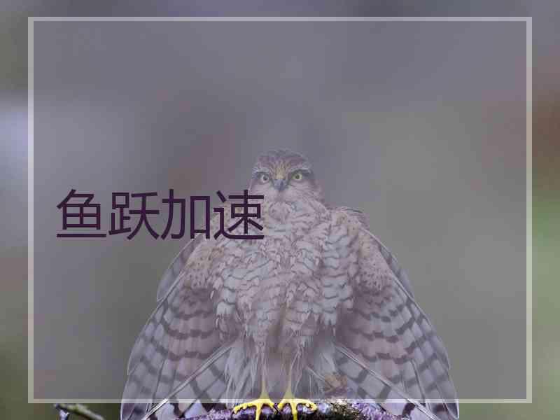 鱼跃加速