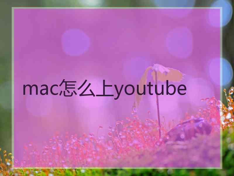 mac怎么上youtube