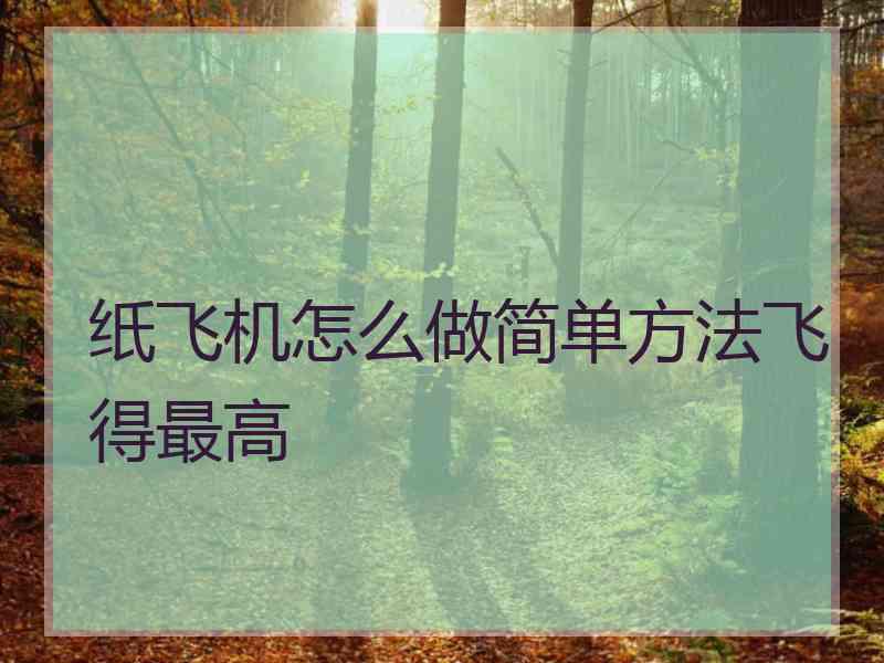 纸飞机怎么做简单方法飞得最高