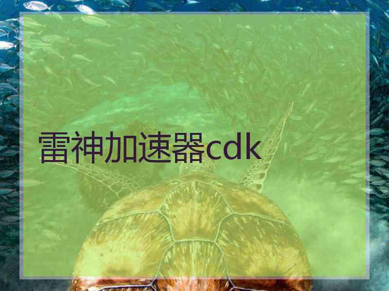 雷神加速器cdk