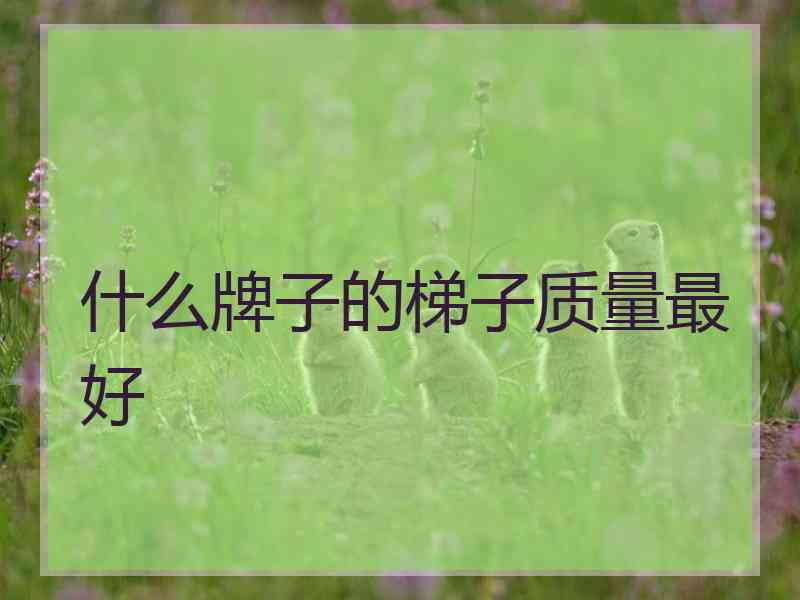 什么牌子的梯子质量最好