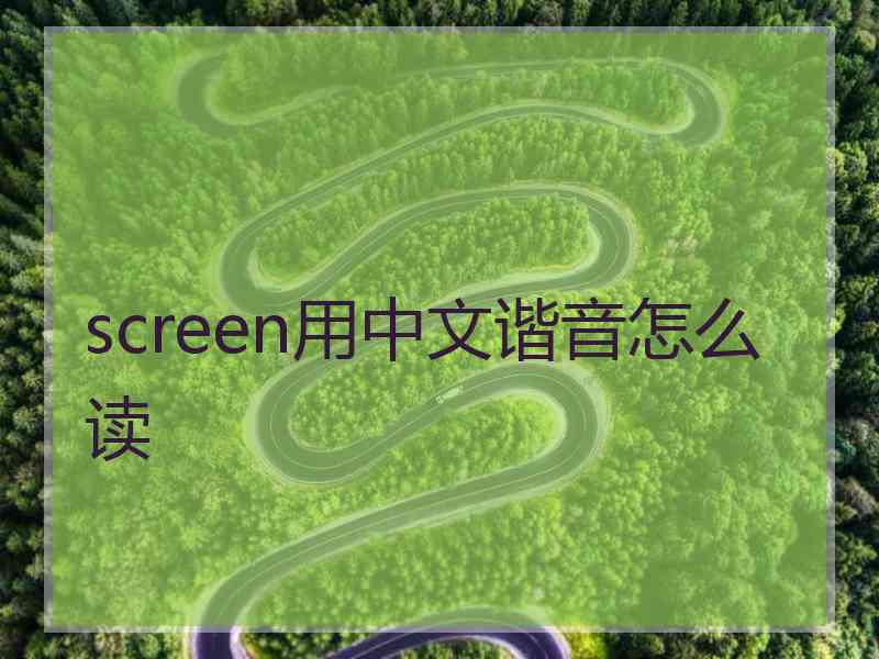 screen用中文谐音怎么读