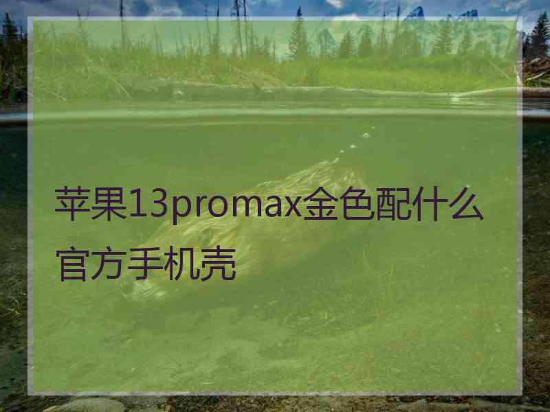 苹果13promax金色配什么官方手机壳