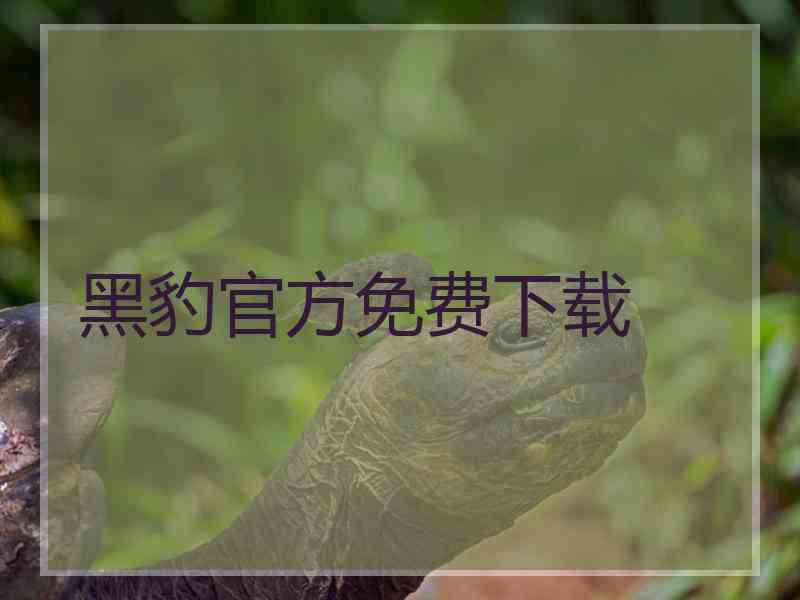 黑豹官方免费下载