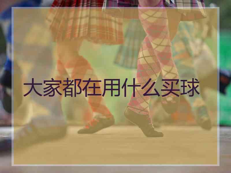 大家都在用什么买球