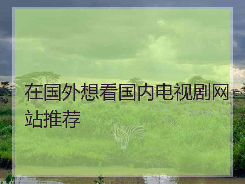 在国外想看国内电视剧网站推荐