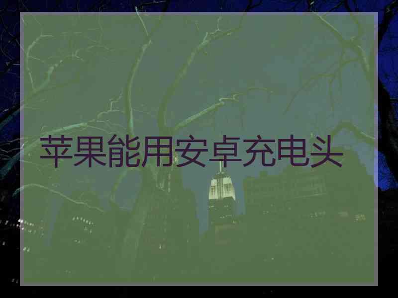 苹果能用安卓充电头