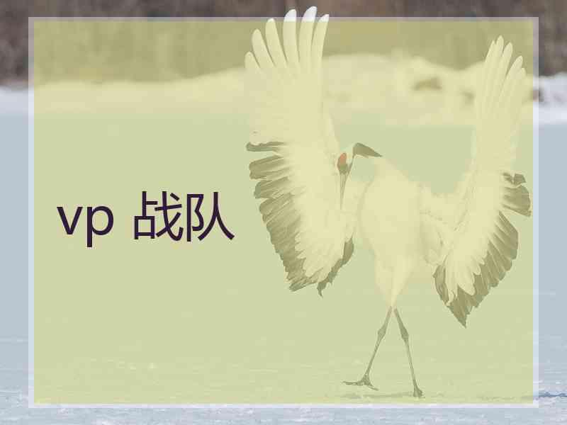 vp 战队
