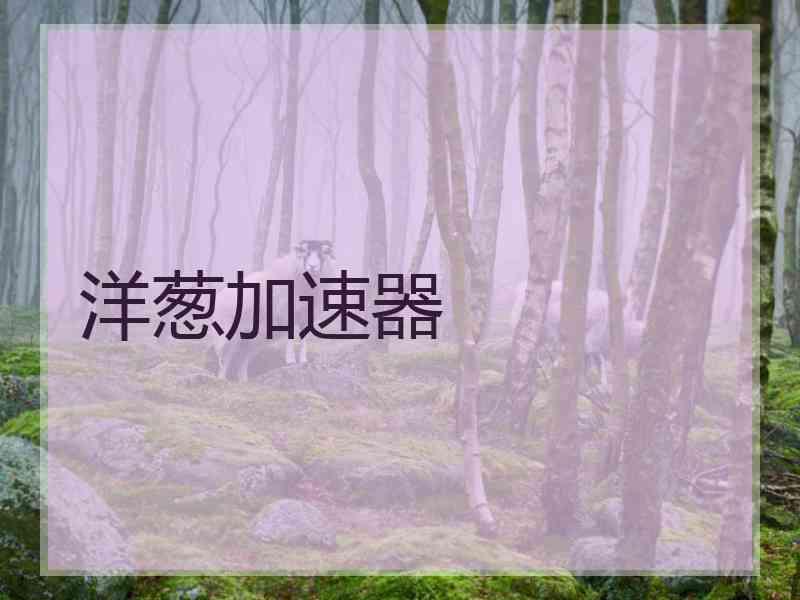 洋葱加速器