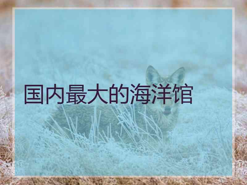国内最大的海洋馆