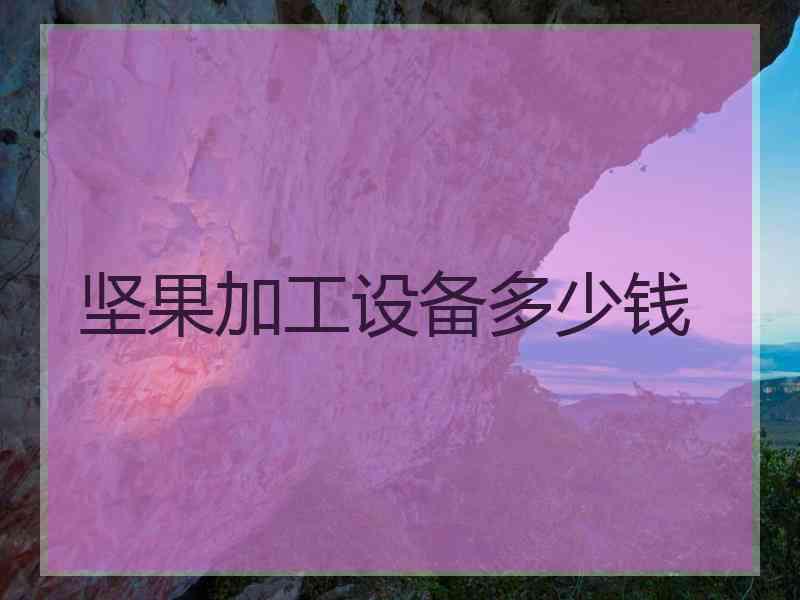 坚果加工设备多少钱