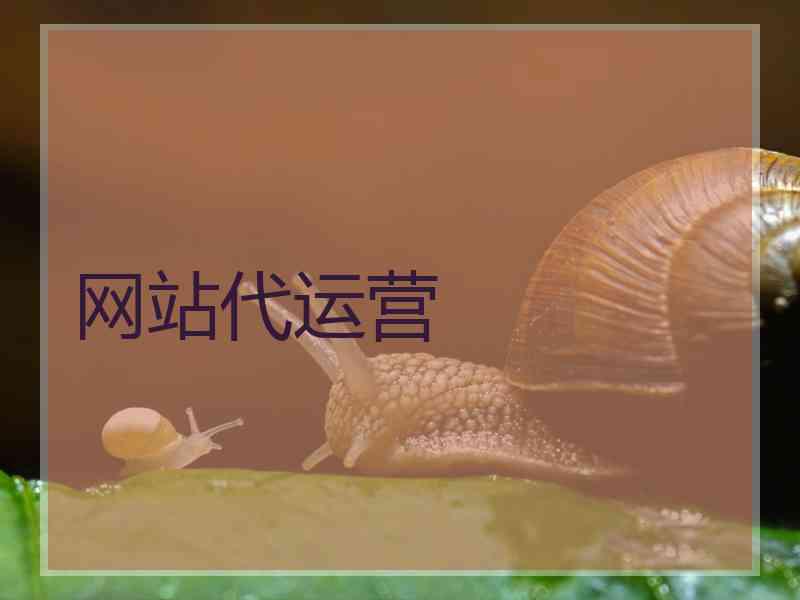 网站代运营
