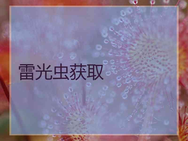 雷光虫获取