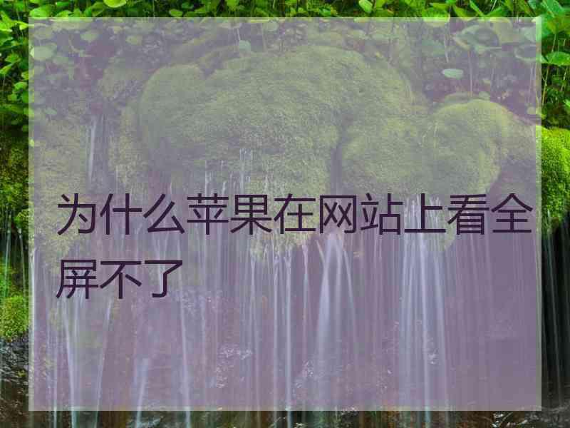为什么苹果在网站上看全屏不了