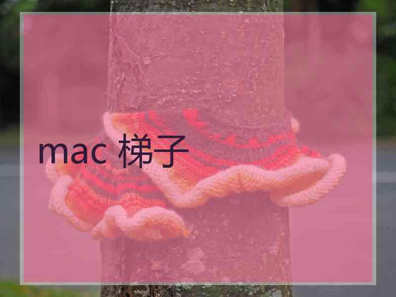 mac 梯子