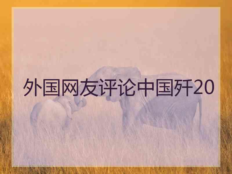 外国网友评论中国歼20