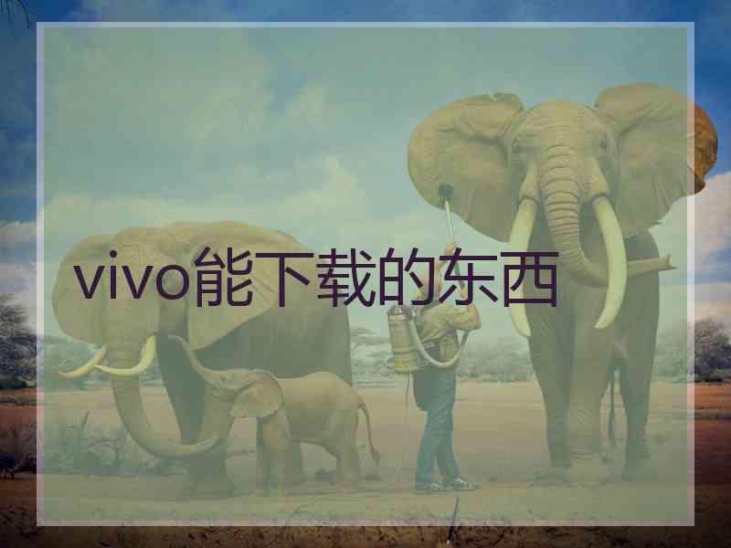 vivo能下载的东西