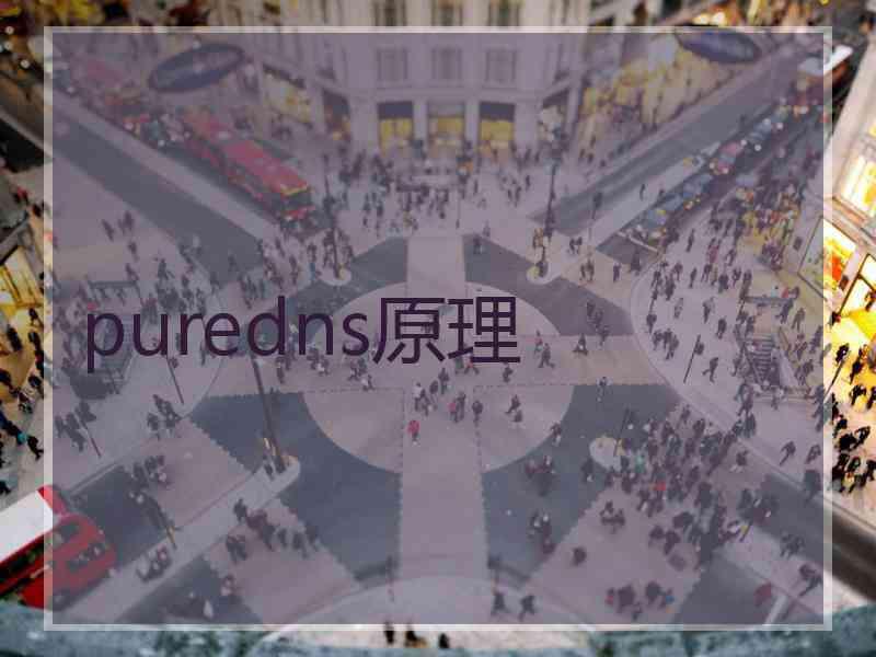 puredns原理