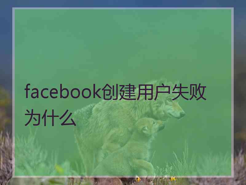 facebook创建用户失败为什么