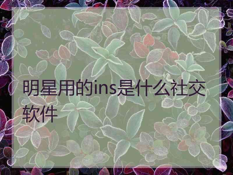 明星用的ins是什么社交软件