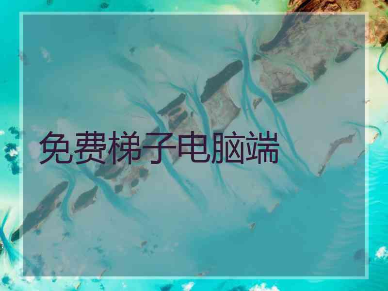 免费梯子电脑端