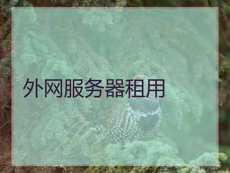 外网服务器租用