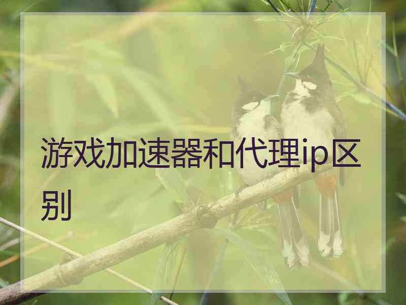 游戏加速器和代理ip区别